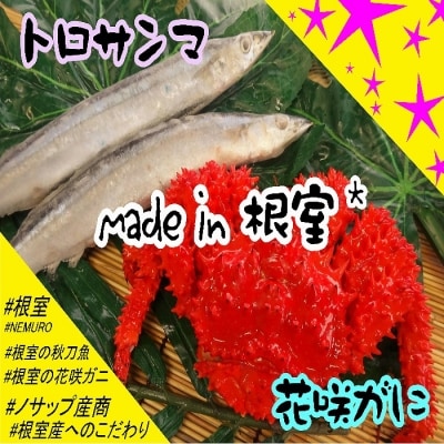 ＜12/21まで年内配送＞★花咲ガニ2尾(計800g以上)、冷凍サンマ10尾 C-59007