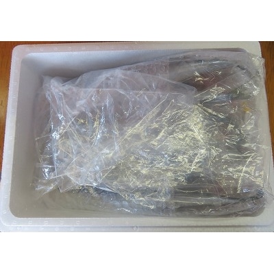 ＜12/21まで年内配送＞★花咲ガニ2尾(計800g以上)、冷凍サンマ10尾 C-59007