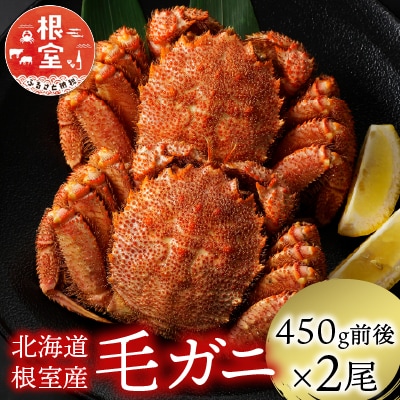 ＜12/21まで年内配送＞★毛がに450g前後×2尾 C-21003