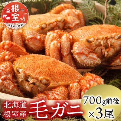 ＜12/21まで年内配送＞★毛がに700g前後×3尾 D-21003