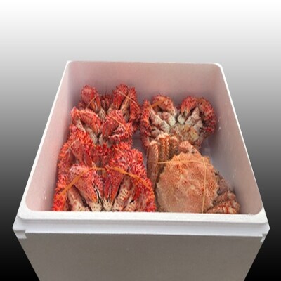 ＜12/21まで年内配送＞★毛かに・花咲かにセット D-70039