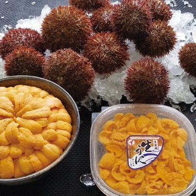 ＜12/17まで年内配送＞エゾバフンウニ塩水パック150～160g×2P D-71047