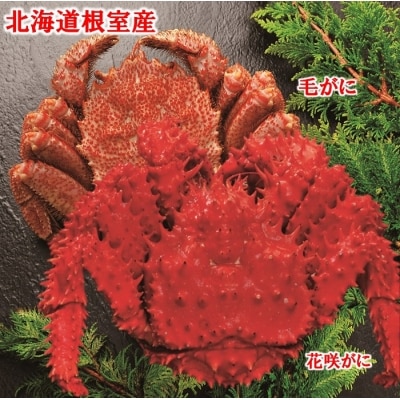 ＜12/21まで年内配送＞★毛がにと花咲がに B-01028