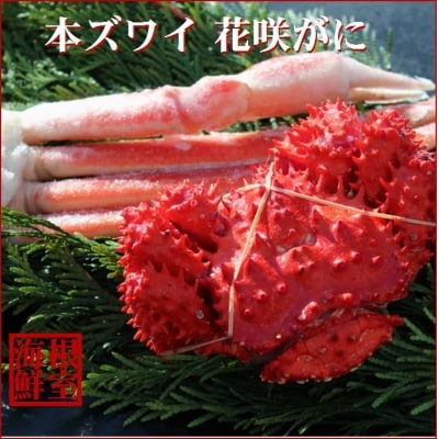 ＜12/21まで年内配送＞本ズワイガニ足1肩、花咲ガニ1尾 A-57040
