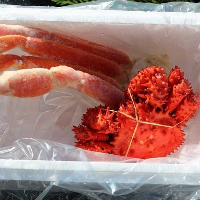 ＜12/21まで年内配送＞本ズワイガニ足1肩、花咲ガニ1尾 A-57040