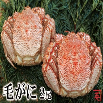 ＜12/21まで年内配送＞★ボイル毛蟹400g～480g×2尾 B-27010