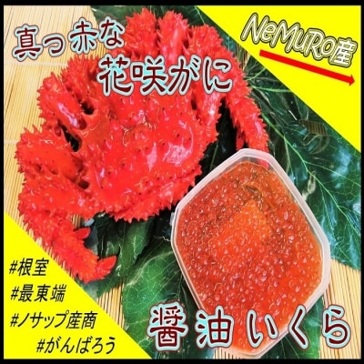 ＜12/21まで年内配送＞★花咲がに、醤油イクラセット C-59020