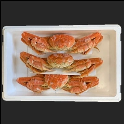 ＜12/21まで年内配送＞ずわいがに姿800g×3尾 D-01038