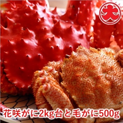 ＜12/21まで年内配送＞花咲がに2kg台と毛がに500g D-01043