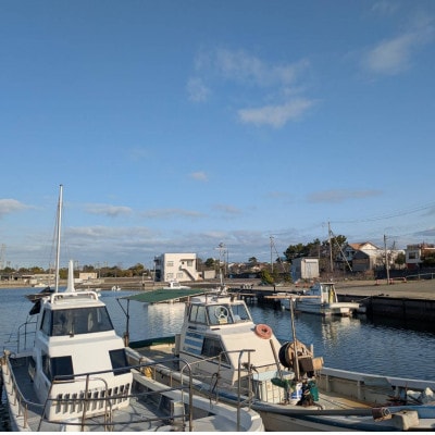 播磨町産【活け〆はりだこ】真空パック 1枚(冷凍)