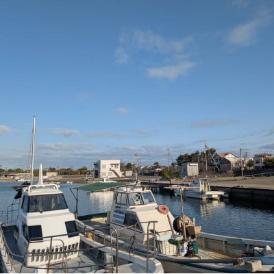 播磨町産【活け〆はりだこ】真空パック 3枚(冷凍)