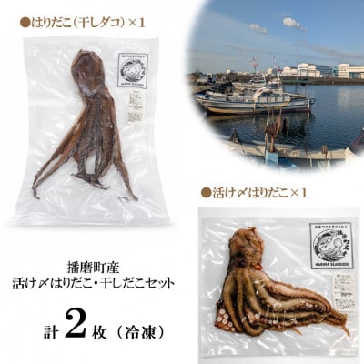 播磨町産【活け〆はりだこ・はりだこ(干しダコ)セット(各1枚)】　計2枚(真空・冷凍)