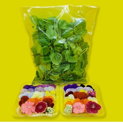 食用のエディブルフラワー(生花)×2パック・サラダクレソン×1袋【Aセット】