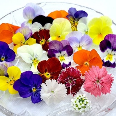 食用のエディブルフラワー(生花)×2パック・サラダクレソン×1袋【Aセット】