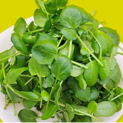 食用のエディブルフラワー(生花)×2パック・サラダクレソン×1袋【Aセット】