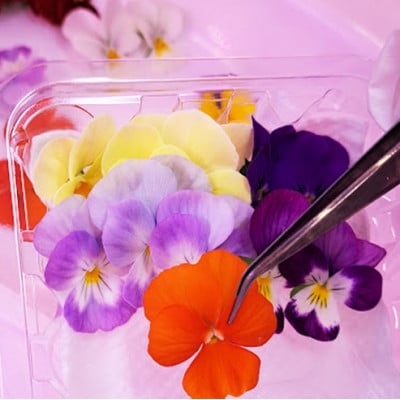 食用のエディブルフラワー(生花)×2パック・サラダクレソン×1袋【Aセット】