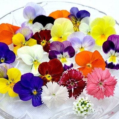 食用のエディブルフラワー(生花)×3パック・サラダクレソン×1袋【Bセット】