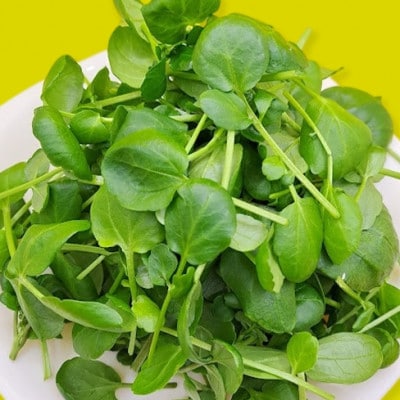 食用のエディブルフラワー(生花)×3パック・サラダクレソン×1袋【Bセット】