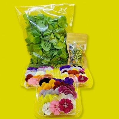 食用のエディブルフラワー(生花×3パック・ドライ×1袋)・サラダクレソン×1袋【Cセット】