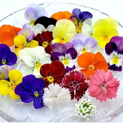 食用のエディブルフラワー(生花×3パック・ドライ×1袋)・サラダクレソン×1袋【Cセット】