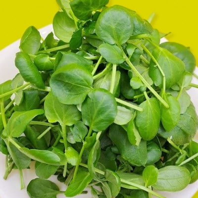 食用のエディブルフラワー(生花×4パック・ドライ×1袋)・サラダクレソン×1袋【Dセット】