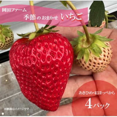 【先行受付】令和9年1月下旬以降順次発送!おまかせ!季節のイチゴ(約260g)×4パック