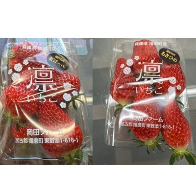 【先行受付】令和9年1月下旬以降順次発送!おまかせ!季節のイチゴ(約260g)×4パック