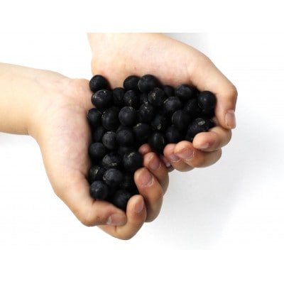 丹波黒納豆　(50g×18パック)