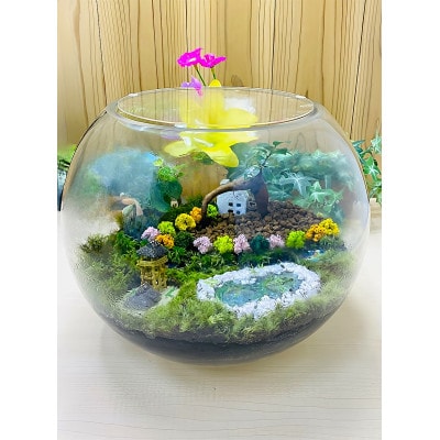 【苔テラリウム・丸形ガラス・大】ちいさな苔屋さん