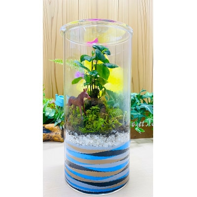 【苔テラリウム・円筒ガラス】ちいさな苔屋さん