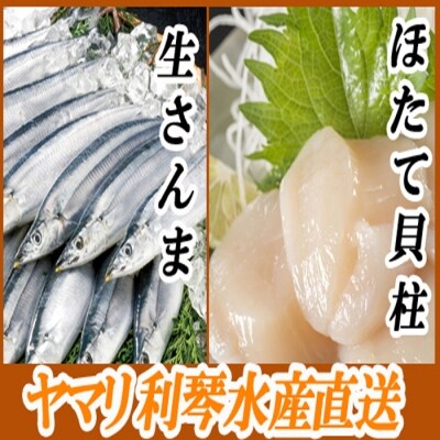 ＜12/21まで年内配送＞冷凍さんま・ほたて貝柱セット C-70038