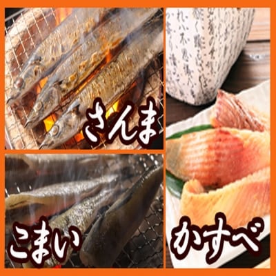 ＜12/21まで年内配送＞★焼き魚詰め合わせセット A-70002