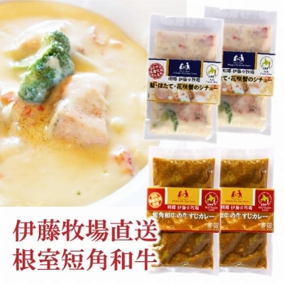 ＜12/17まで年内配送＞鮭・ほたて・花咲蟹シチュー2P、牛すじカレー2Pセット A-13008