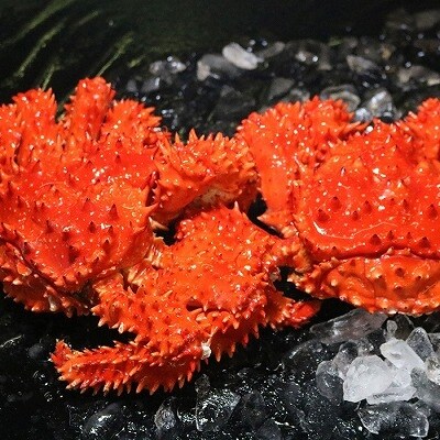 ＜12/17まで年内配送＞浜ゆで花咲がにオス・メス各1尾 A-60003