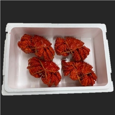 ＜12/21まで年内配送＞★花咲がに姿350～450g×4尾 A-01041