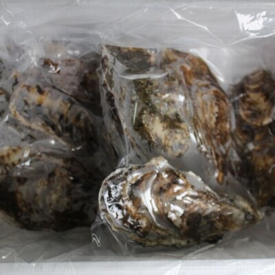 ＜12/21まで年内配送＞殻付カキの酒蒸し150g以上×8個 A-57047