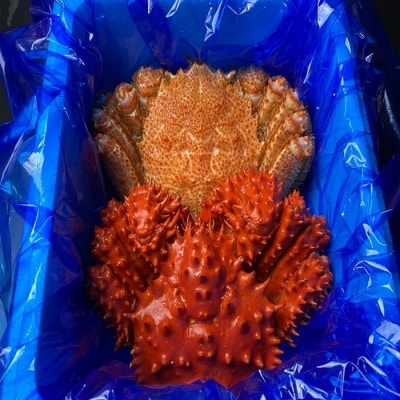 ＜12/21まで年内配送＞★毛がに・花咲がに各450g前後×1尾 C-21004