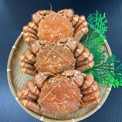 ＜12/10まで年内配送＞【北海道根室産】毛蟹600g×3尾 D-66013
