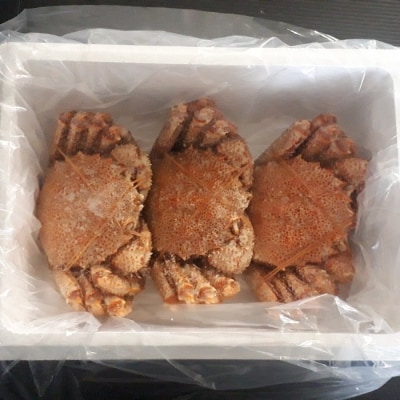 ＜12/10まで年内配送＞【北海道根室産】毛蟹600g×3尾 D-66013
