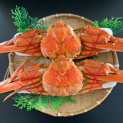 ＜12/10まで年内配送＞ずわい蟹600g×2尾 C-66017
