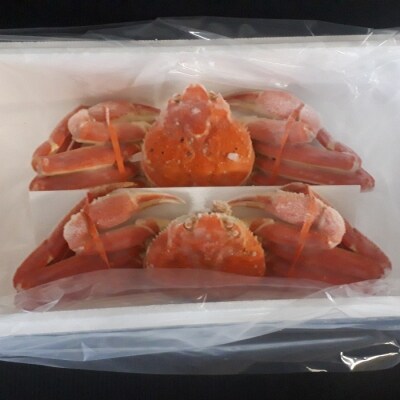 ＜12/10まで年内配送＞ずわい蟹600g×2尾 C-66017