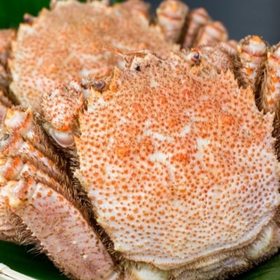 12/10܂ŔNzъI700g×1 C-66016