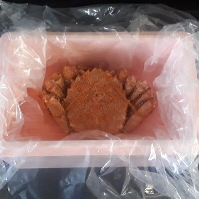 ＜12/10まで年内配送＞★毛蟹700g×1尾 C-66016