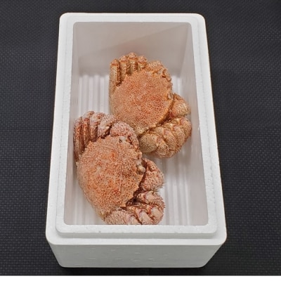 ＜12/14まで年内配送＞エゾバフンウニ塩水150g、毛ガニ2尾[11月下旬発送] E-40020