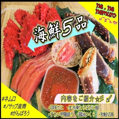 ＜12/21まで年内配送＞海鮮5品セットB E-59003