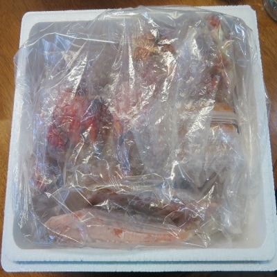 ＜12/21まで年内配送＞海鮮5品セットA E-59002