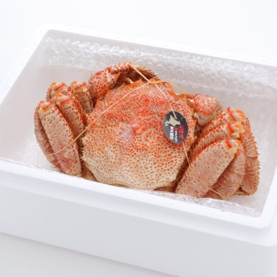 ＜12/21まで年内配送＞毛がに1kg～1.1kg前後×1尾 C-58010