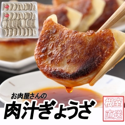 12/21܂ŔNzLq25×2P A-70049