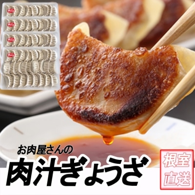 ＜12/21まで年内配送＞餃子25個×4P C-70065