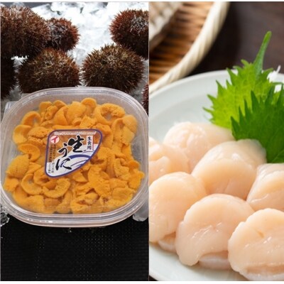 ＜12/17まで年内配送＞エゾバフンウニ塩水2P、ホタテ2P[11月下旬以降発送] E-71017